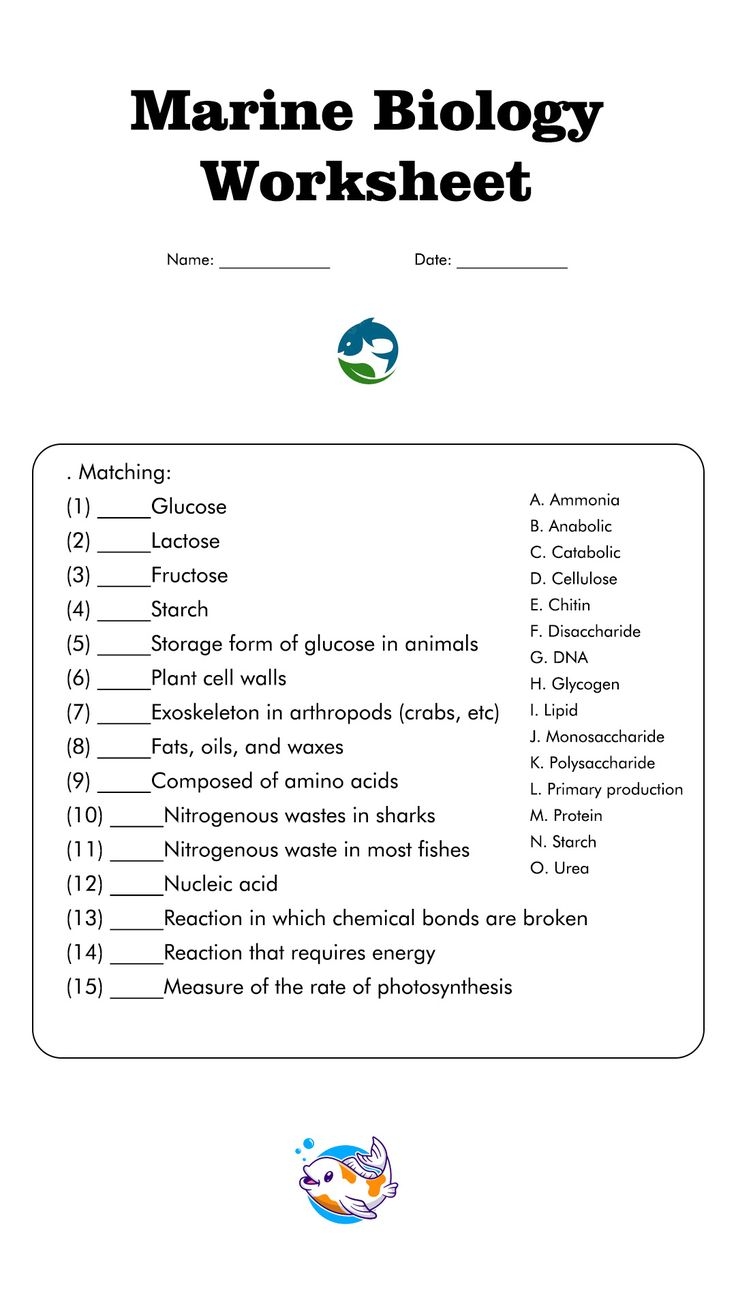 Homeschool Marine Biology Printable Everyday Worksheets