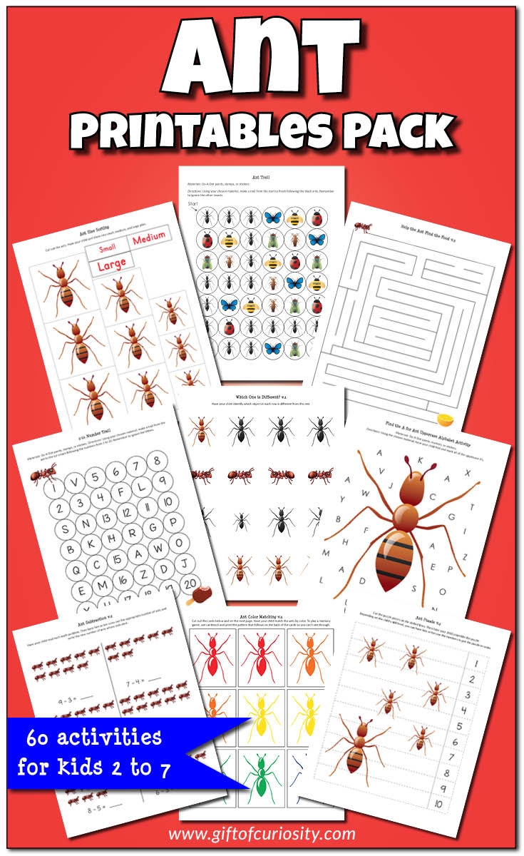 Homeschool Printables About Ants