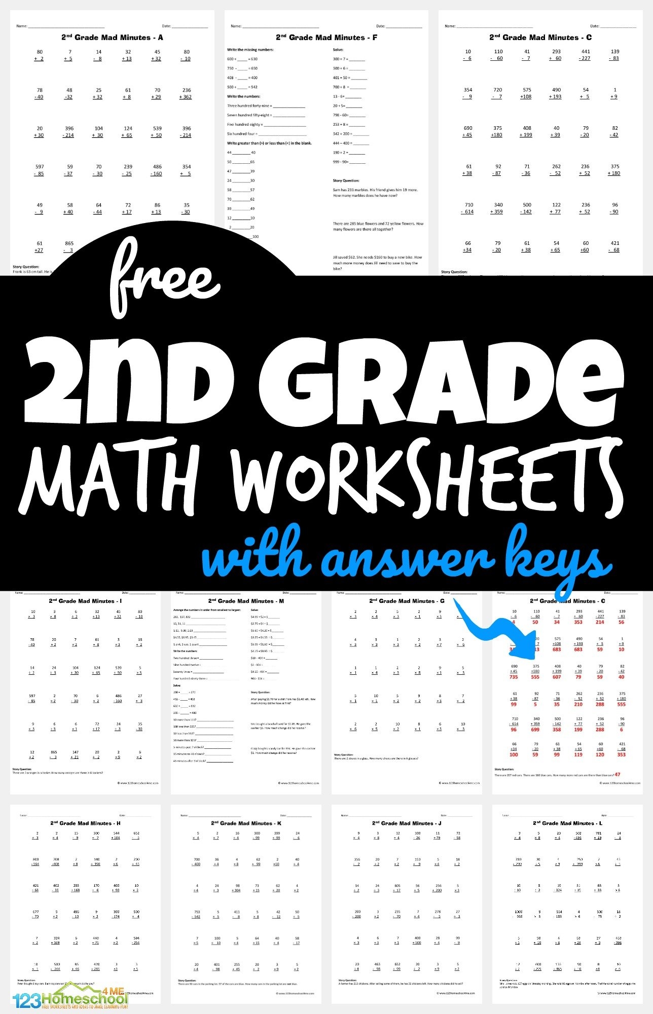 Grade 2 Printable Assessment Homeschooling