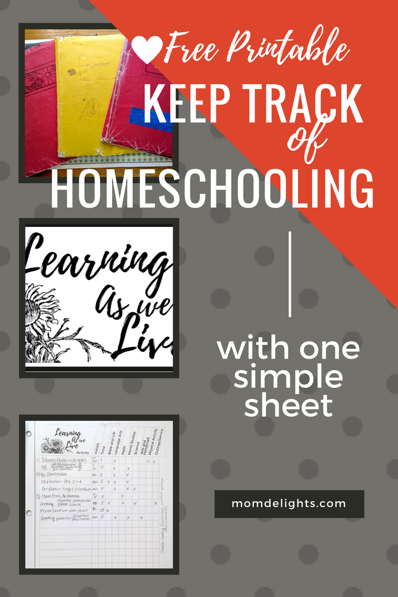Keep Track Of Homeschooling With One Simple Sheet Mom Delights