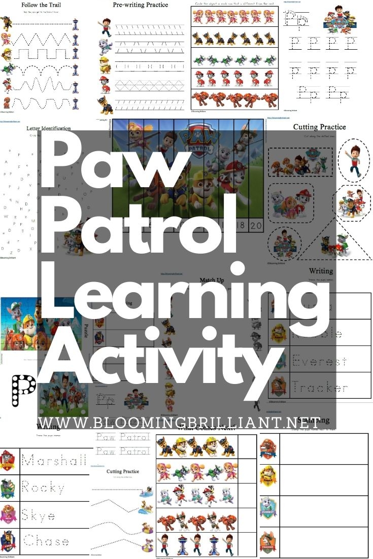 Paw Patrol Homeschool Printables