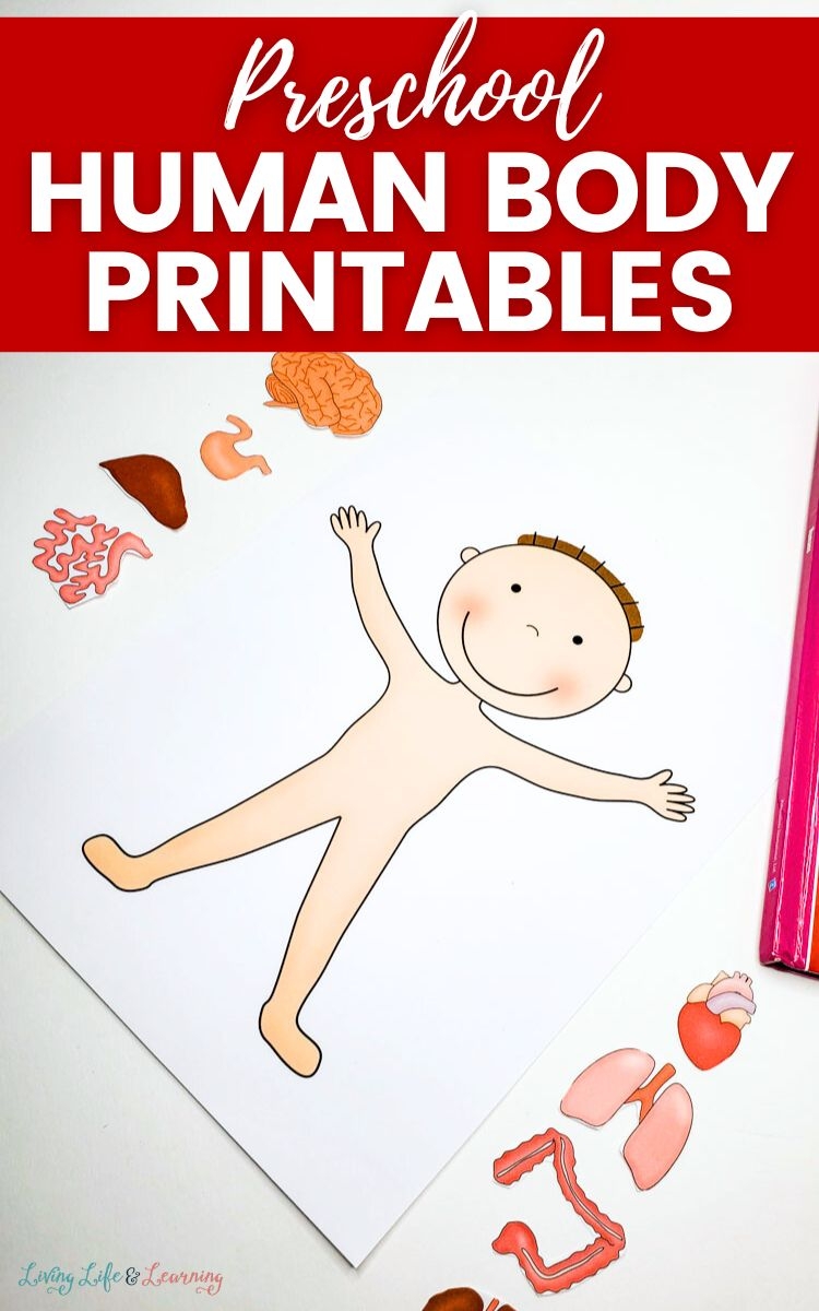 Preschool Human Body Printables